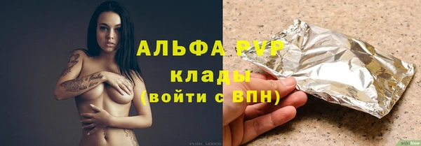 индика Балахна