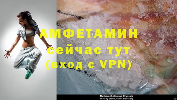 индика Балахна