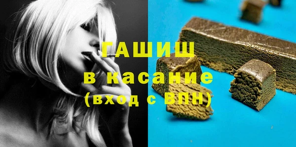 индика Балахна