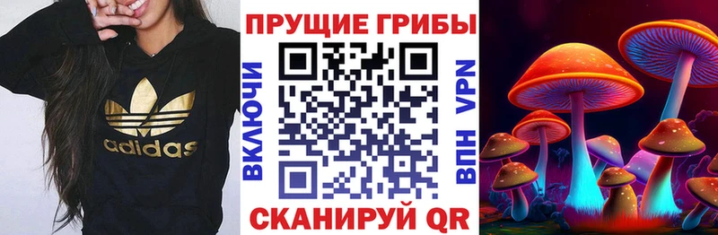 блэк спрут вход  Ельня  Галлюциногенные грибы прущие грибы 